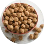 Soya Chunk